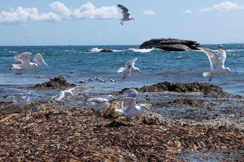 quiberon-2018-02