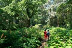 le-bois-des-moutiers-2018-02