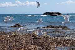 quiberon-2018-02
