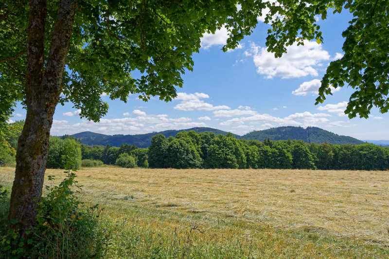 Cut meadow and mountain landscape, view from Dumelweg in Elkeringhausen, Winterberg