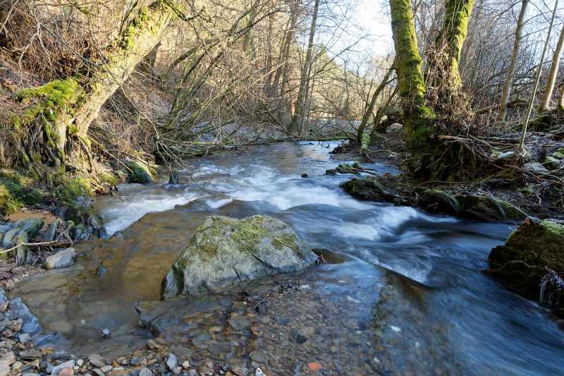 Die Orke zwischen Elkeringhausen und Medelon, ein Bach im Winter