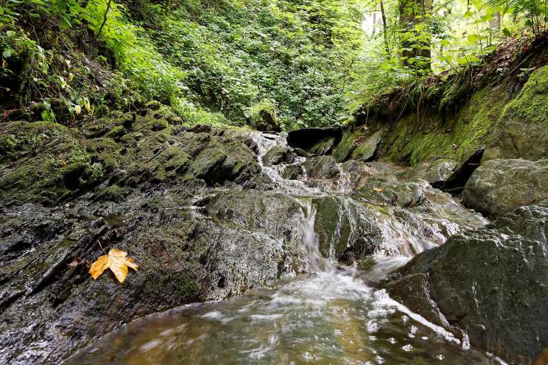 Mountain stream and waterfall near the ravine trail, Winterberg, Hochsauerland