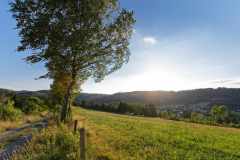 Feldweg im Sommer mit Birken und tief stehender Sonne in Elkeringhausen, Winterberg