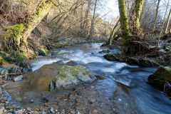 Die Orke zwischen Elkeringhausen und Medelon, ein Bach im Winter