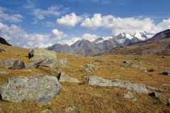Bergwiese am Rifugio Vittorio Sella [September 1999, Restauration von Kleinbild-Dia]